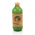 Suc de Graviola Piuree 500 ml